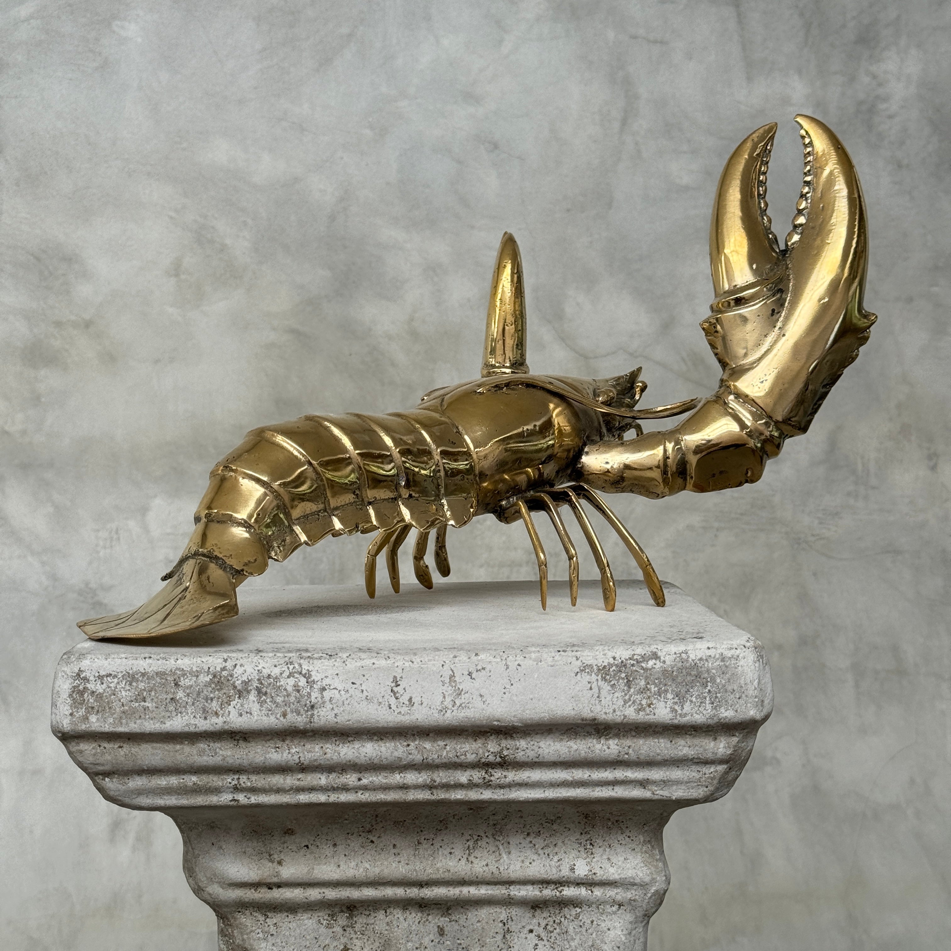 Lobster Polished Bronze - Large