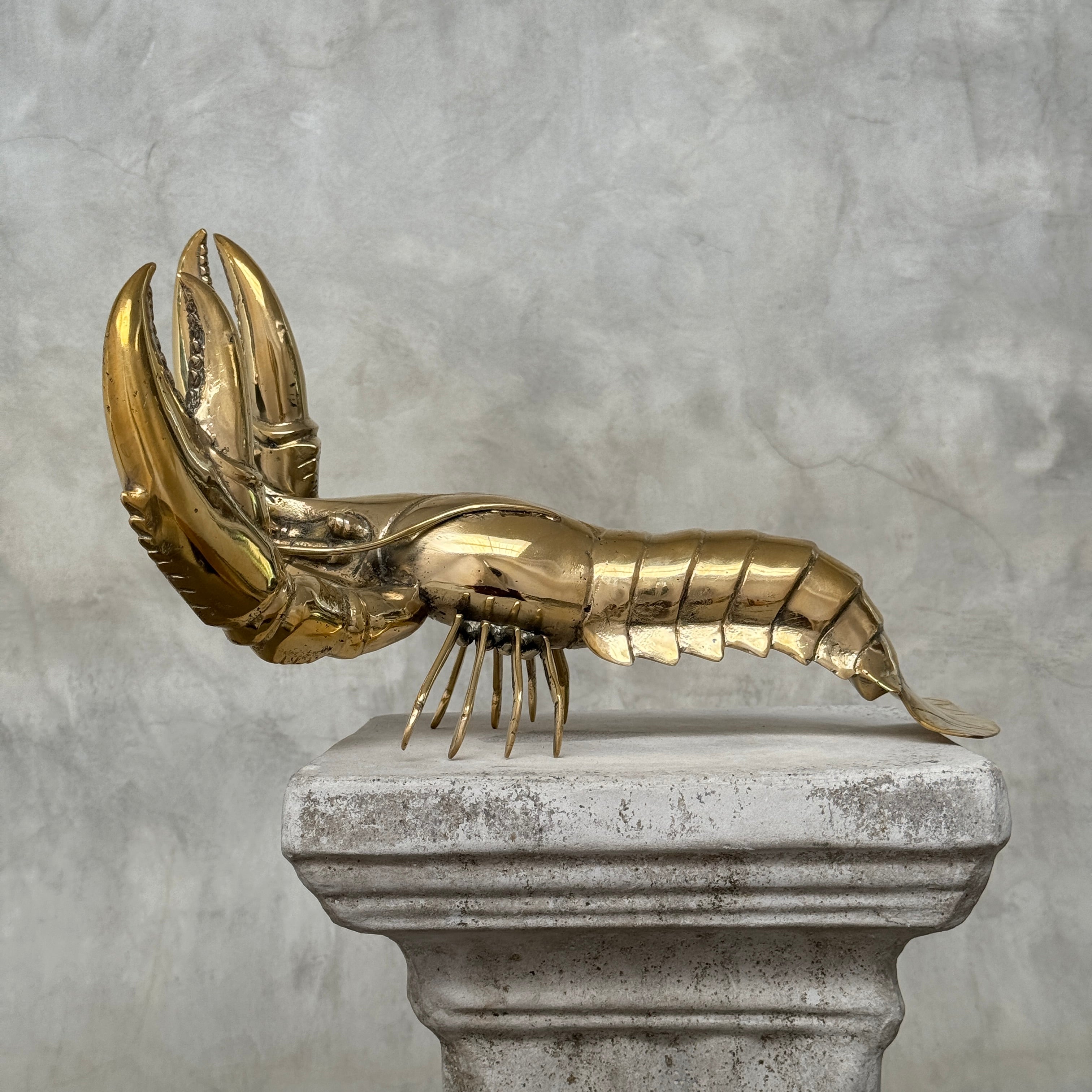 Lobster Polished Bronze - Large