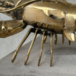 Lobster Polished Bronze - Large