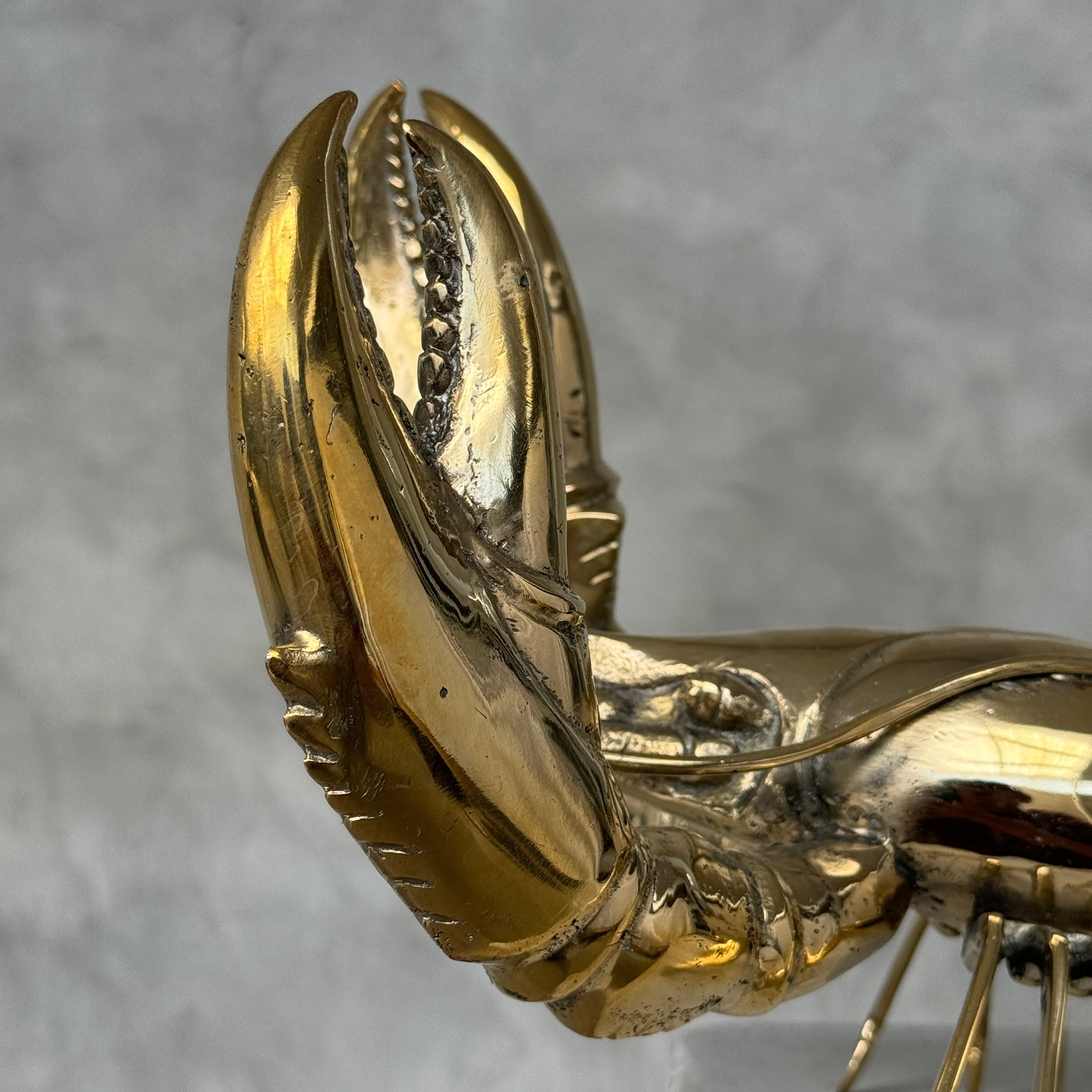 Lobster Polished Bronze - Large