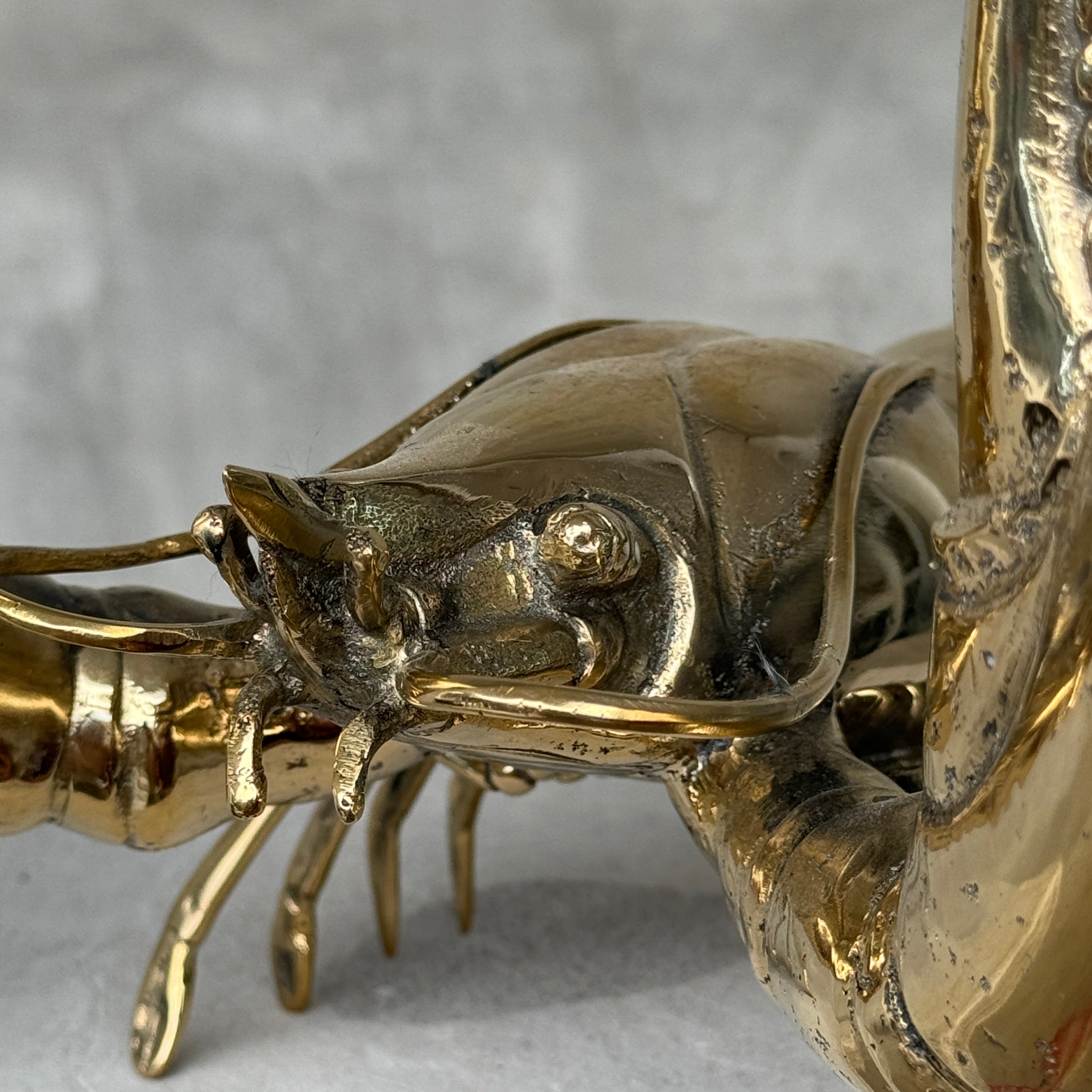 Lobster Polished Bronze - Large