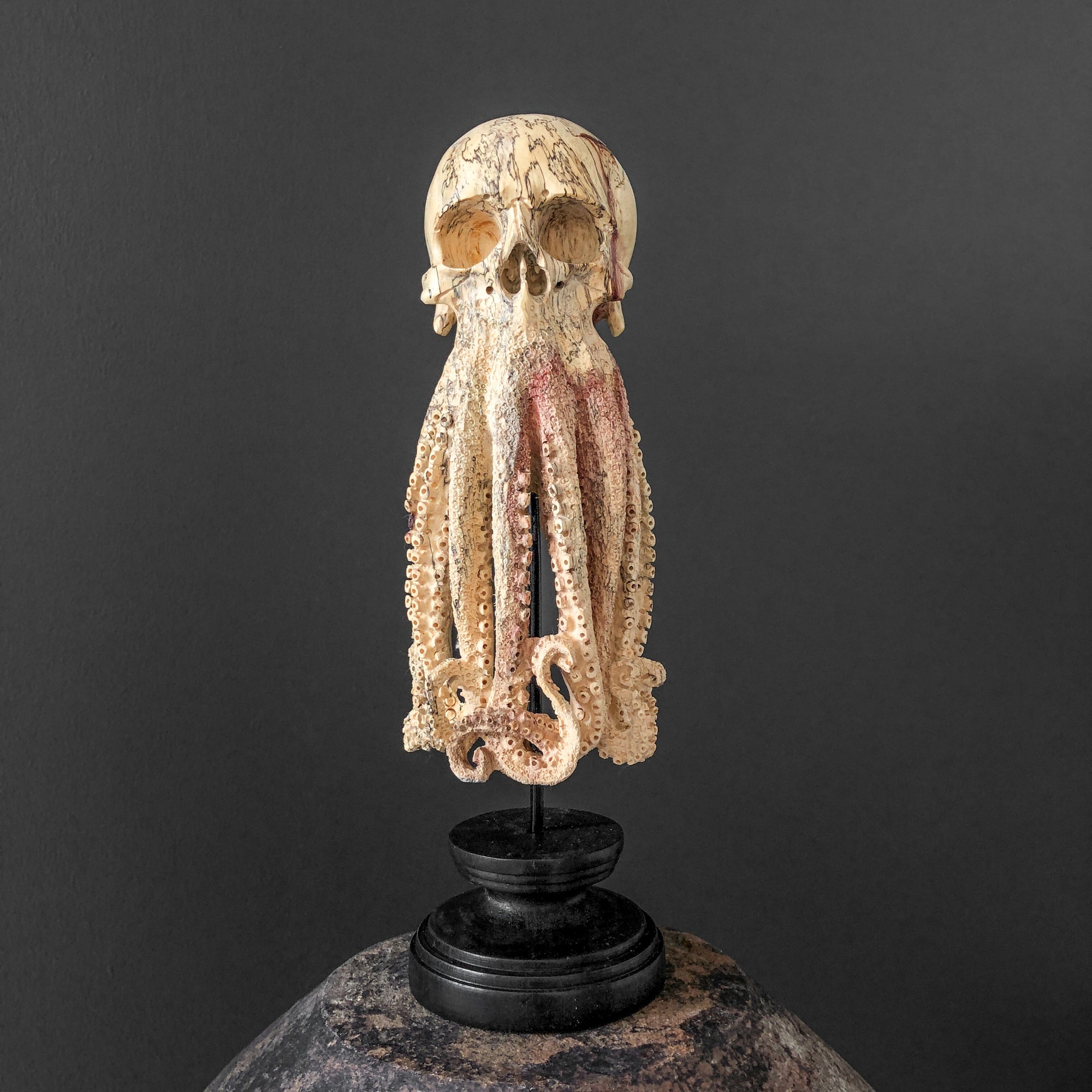 Tamarind Wood Skull with Carved Tentacles - 7E/110