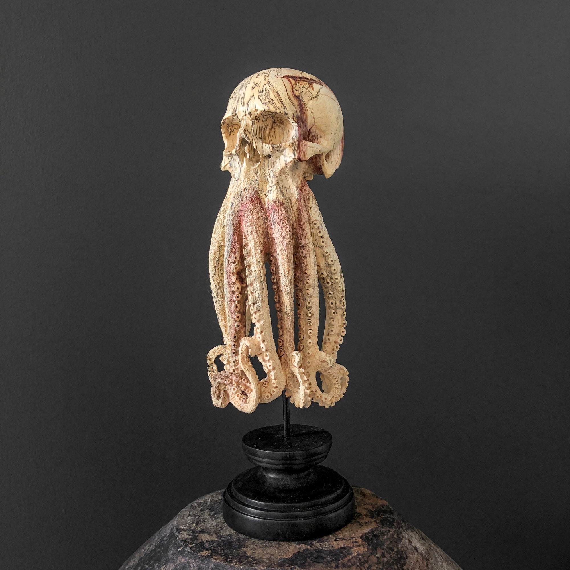 Tamarind Wood Skull with Carved Tentacles - 7E/110