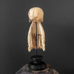 Tamarind Wood Skull with Carved Tentacles - 7E/110