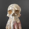 Tamarind Wood Skull with Carved Tentacles - 7E/110