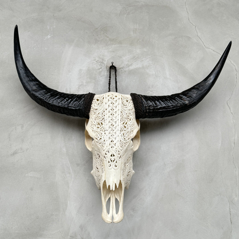 Buffalo Carved Infinity - Skull,A/056