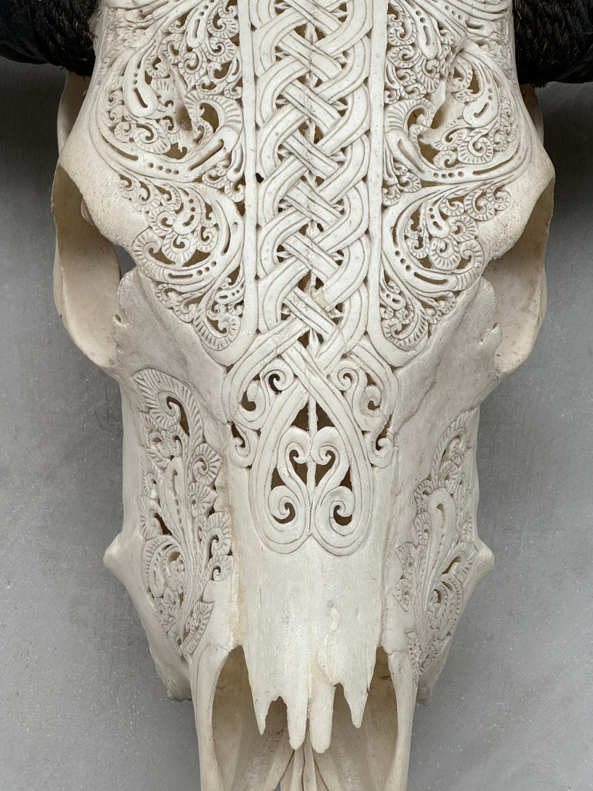 Buffalo Carved Infinity - Skull,A/056