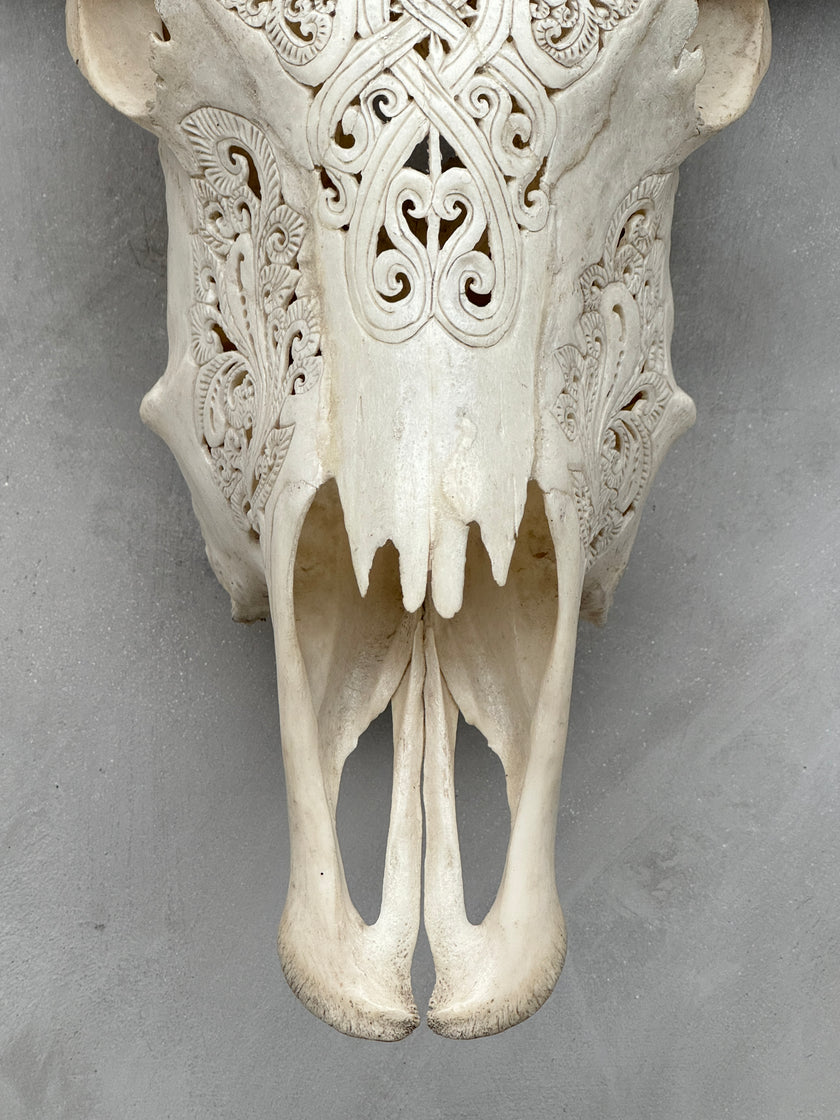 Buffalo Carved Infinity - Skull,A/056