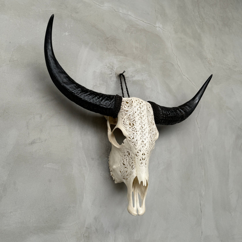 Buffalo Carved Infinity - Skull,A/056