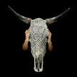 Bull Skull Carved Flower Mandala - Skull,A/154