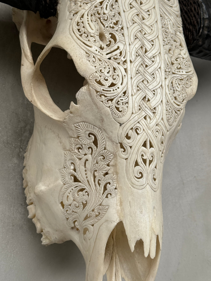 Buffalo Carved Infinity - Skull,A/056