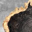 Beautiful Slice of Petrified Wood on stand - O5/167