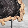 Beautiful Slice of Petrified Wood on stand - O5/167