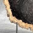 Beautiful Slice of Petrified Wood on stand - O5/167