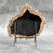 Beautiful Slice of Petrified Wood on stand - O5/167