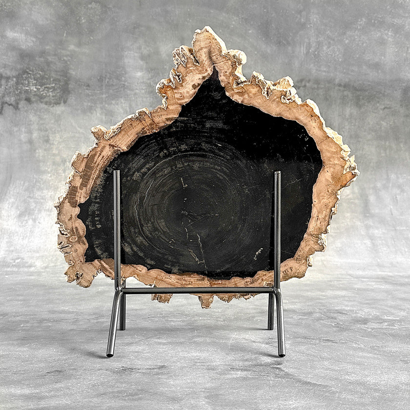 Beautiful Slice of Petrified Wood on stand - O5/167