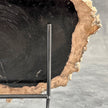 Beautiful Slice of Petrified Wood on stand - O5/167