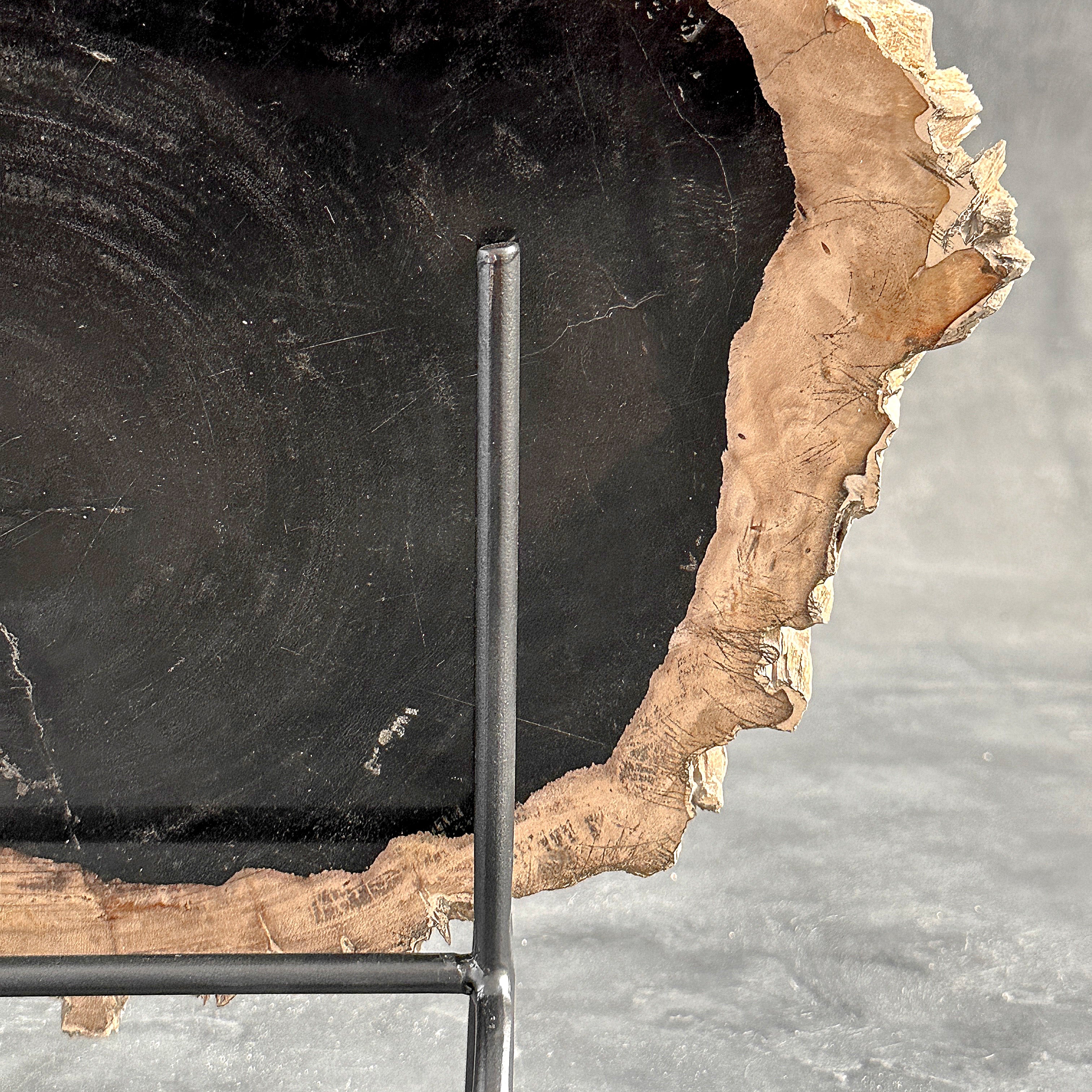 Beautiful Slice of Petrified Wood on stand - O5/167