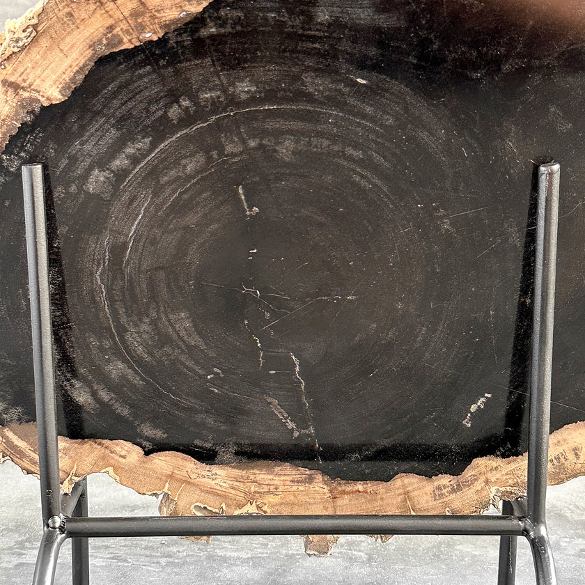Beautiful Slice of Petrified Wood on stand - O5/167