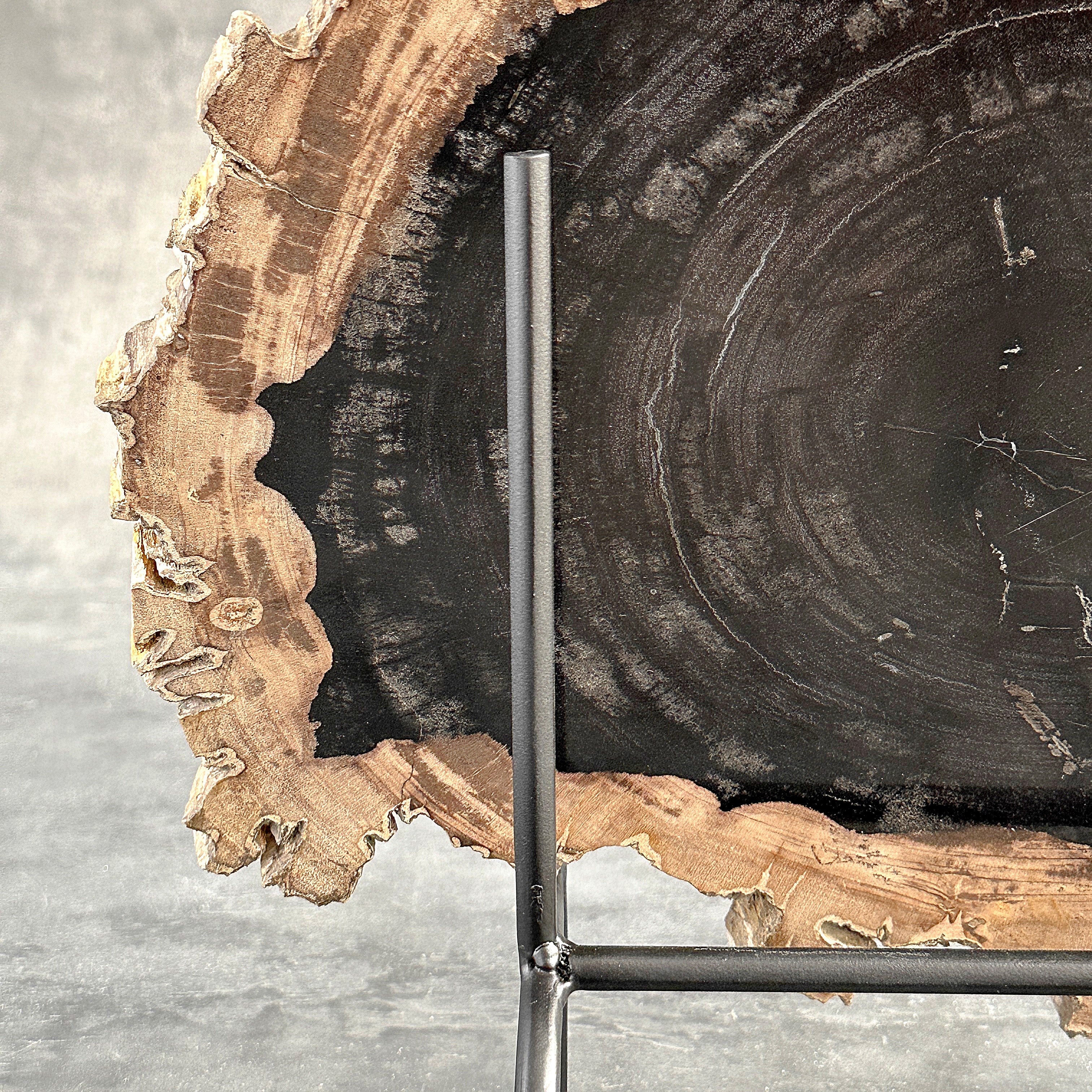 Beautiful Slice of Petrified Wood on stand - O5/167