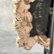 Beautiful Slice of Petrified Wood on stand - O5/167