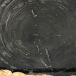 Beautiful Slice of Petrified Wood on stand - O5/167