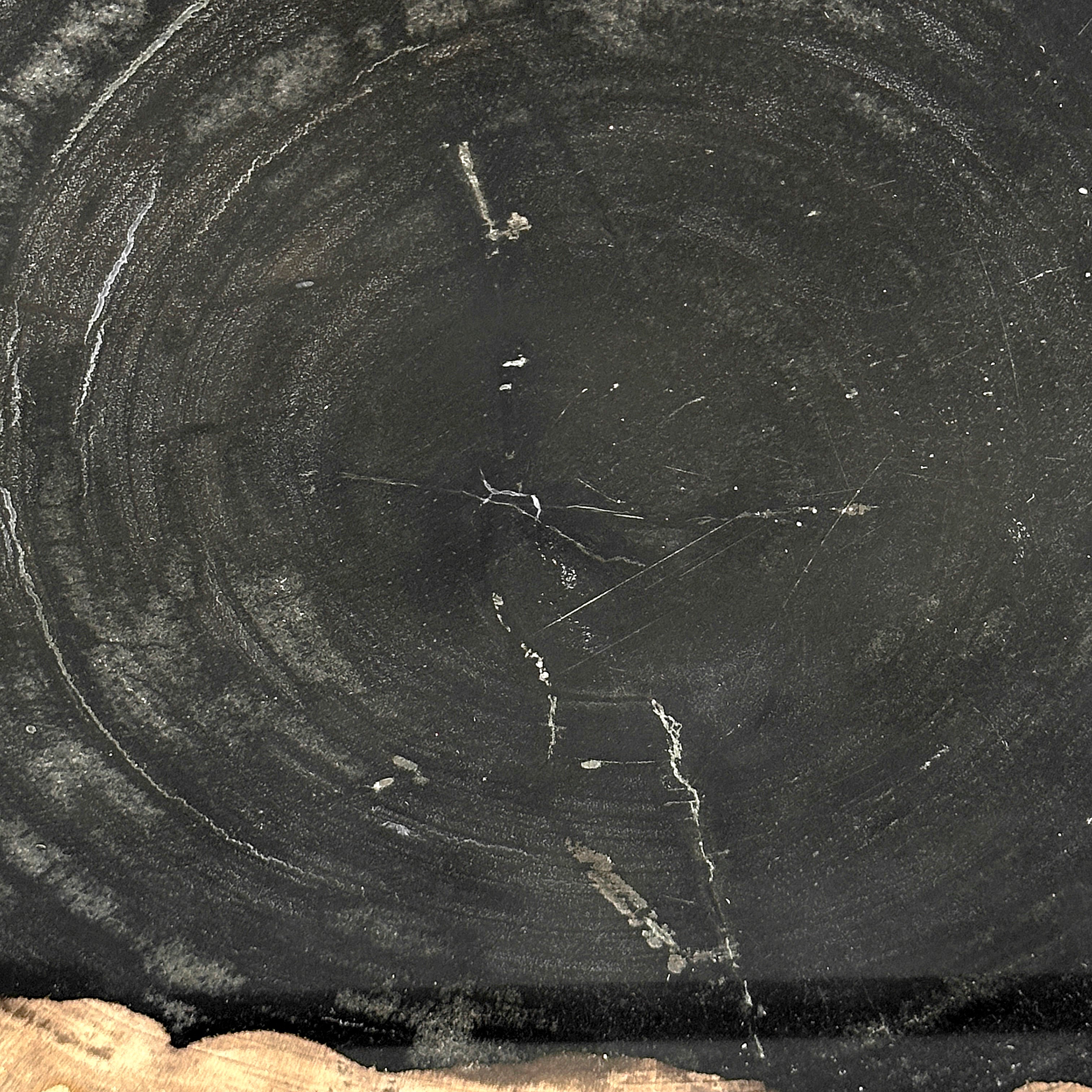 Beautiful Slice of Petrified Wood on stand - O5/167