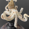 A Stunning Hand Carved Octopus With Horn on a Stand - 7M/109