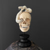 Tarmarind Wooden Skull With Snake Carving Antler - 7R/107