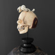 Tarmarind Wooden Skull With Snake Carving Antler - 7R/107