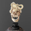 Tarmarind Wooden Skull With Octopus Carving Antler - 7O/108