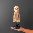 Tamarind Wood Skull with Carved Tentacles - 7E/110