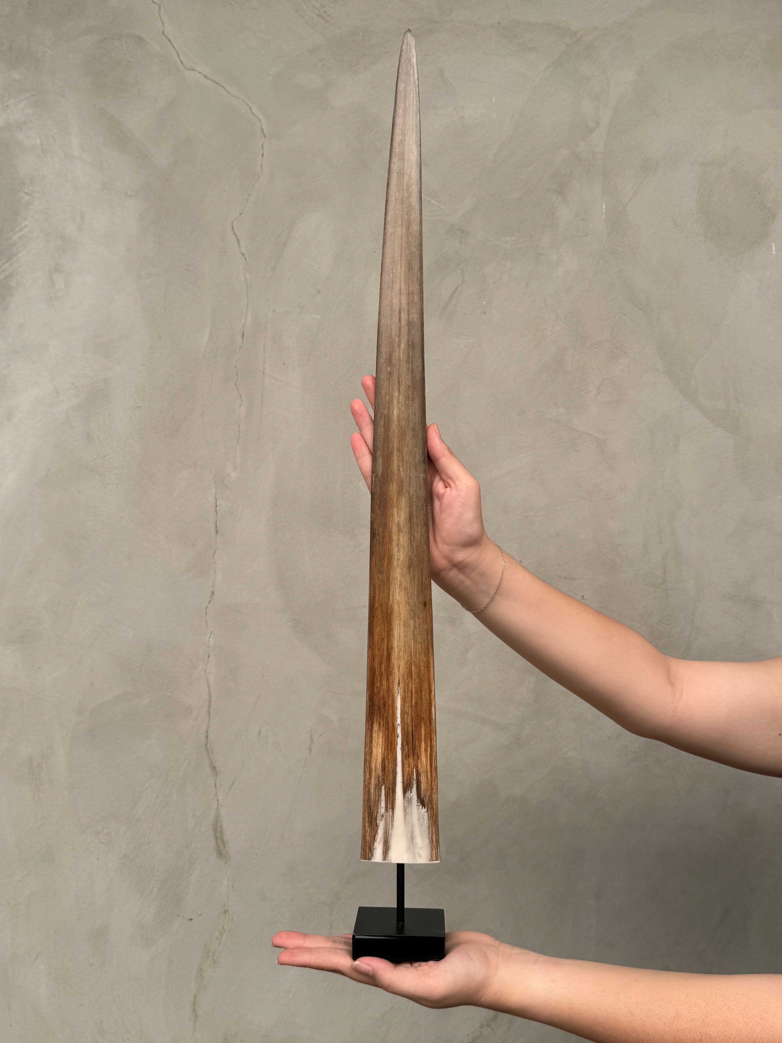 Swordfish - Vertical  - Tusk,A/005