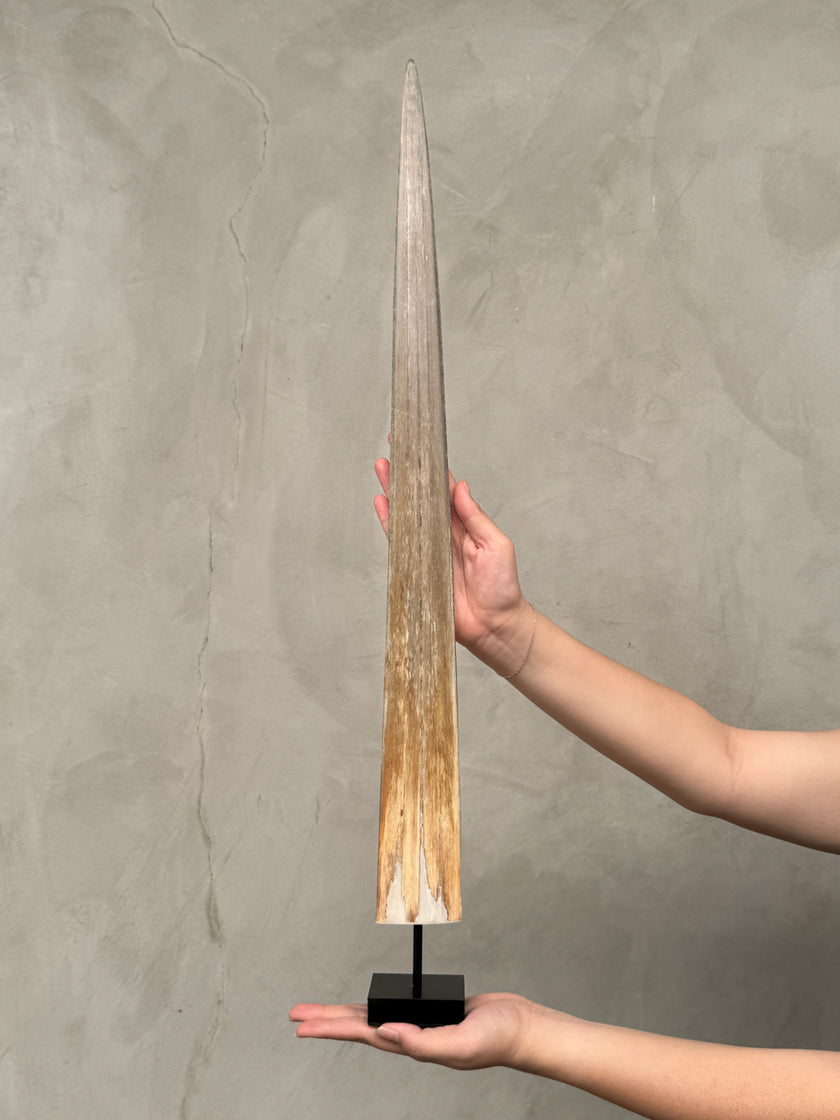 Swordfish - Vertical  - Tusk,A/003