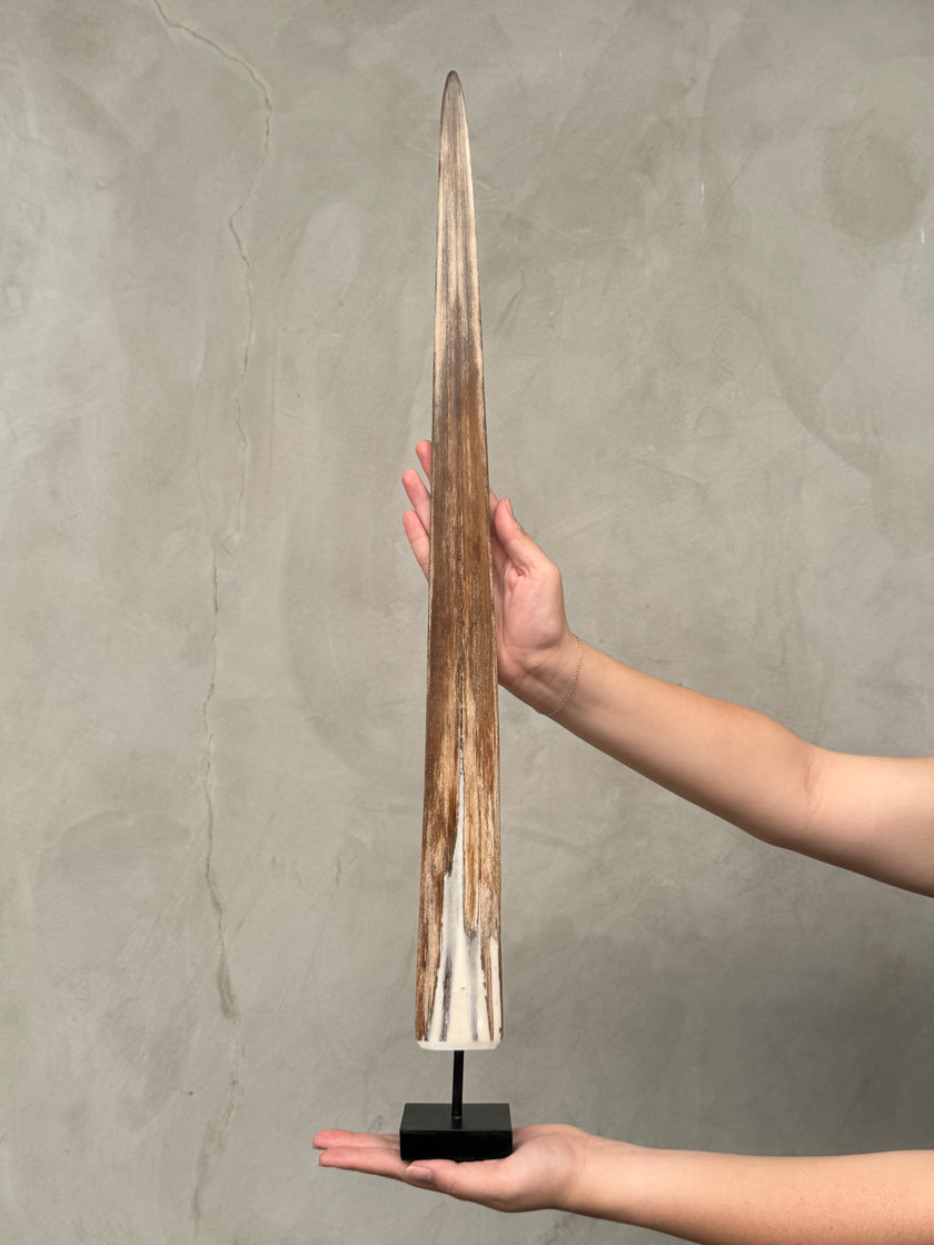 Swordfish - Vertical  - Tusk,A/006