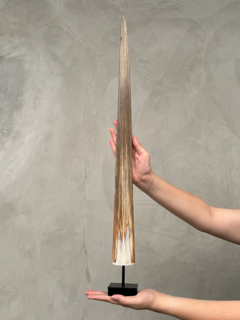 Swordfish - Vertical  - Tusk,A/010