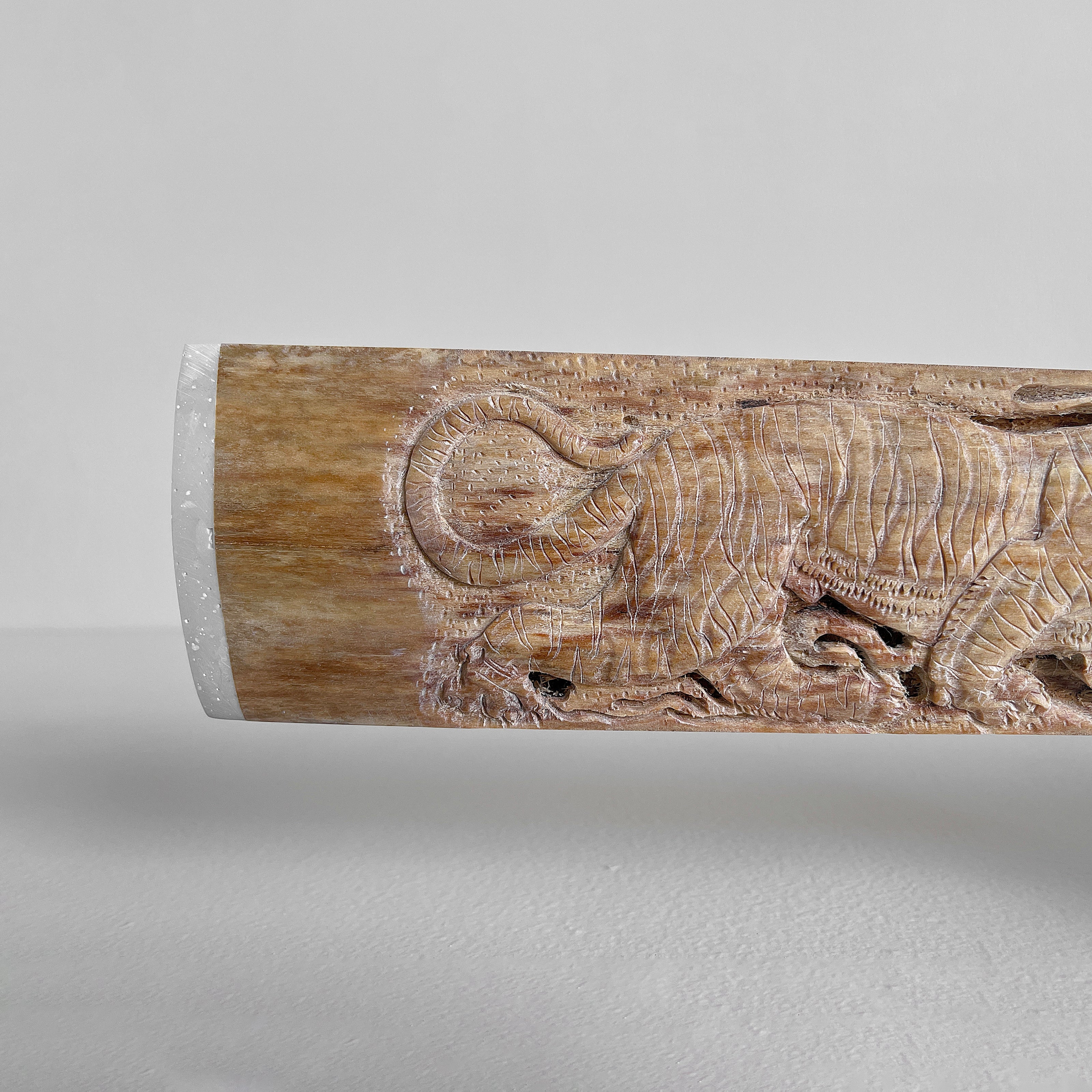 Carved Tusks 23/EX/016 Carving dragon tiger