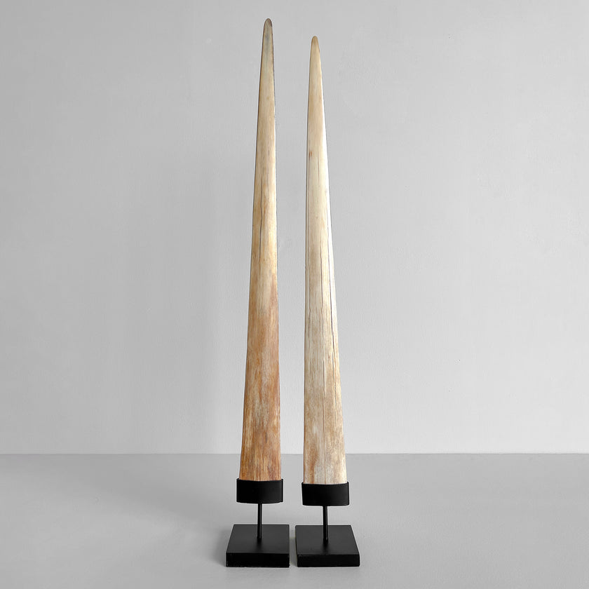 A pair of Tusks on Stand  22/EX/513