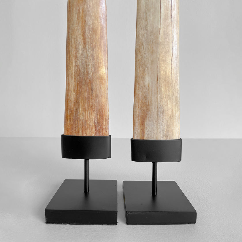A pair of Tusks on Stand  22/EX/513