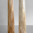 A pair of Tusks on Stand  22/EX/513