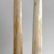 A pair of Tusks on Stand  22/EX/513