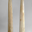 A pair of Tusks on Stand  22/EX/513