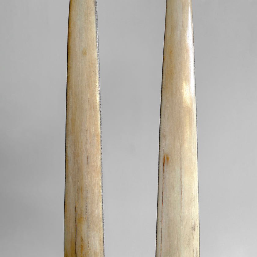 A pair of Tusks on Stand  22/EX/513