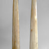 A pair of Tusks on Stand  22/EX/513