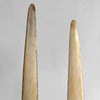 A pair of Tusks on Stand  22/EX/513