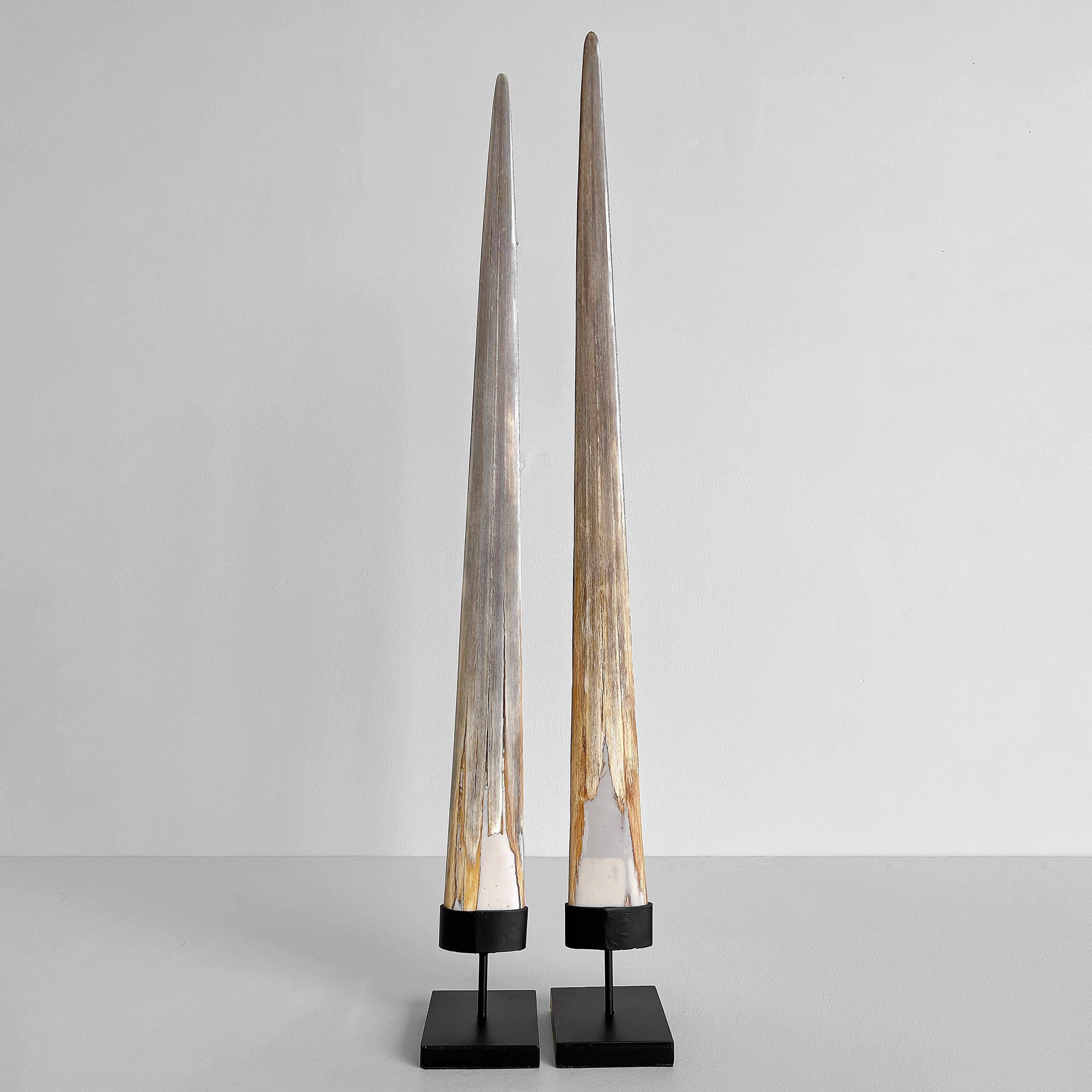 A pair of Tusks on Stand  22/EX/513