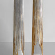 A pair of Tusks on Stand  22/EX/513