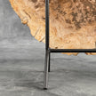 Beautiful Slice of Petrified Wood on stand - D5/170