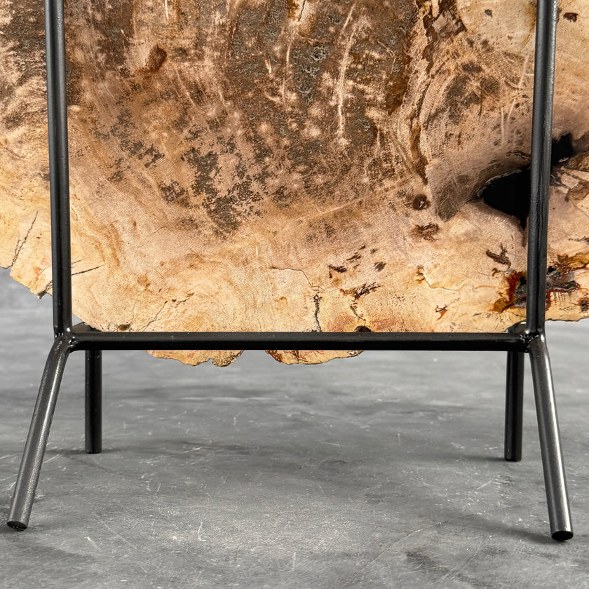 Beautiful Slice of Petrified Wood on stand - D5/170