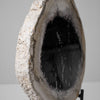 A Beautiful Slice of Petrified Palm Root on stand  PetW/059